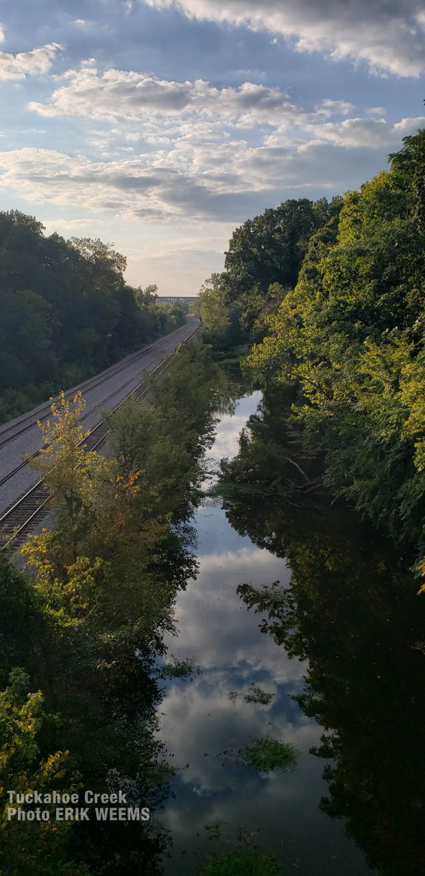 Tuckahoe Creek by Westover Hills Boulevard Bridge