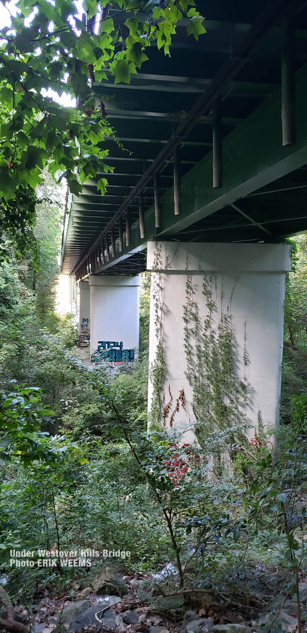 Under the Westover Hills Bridge by the James River in Richmond, Virginia