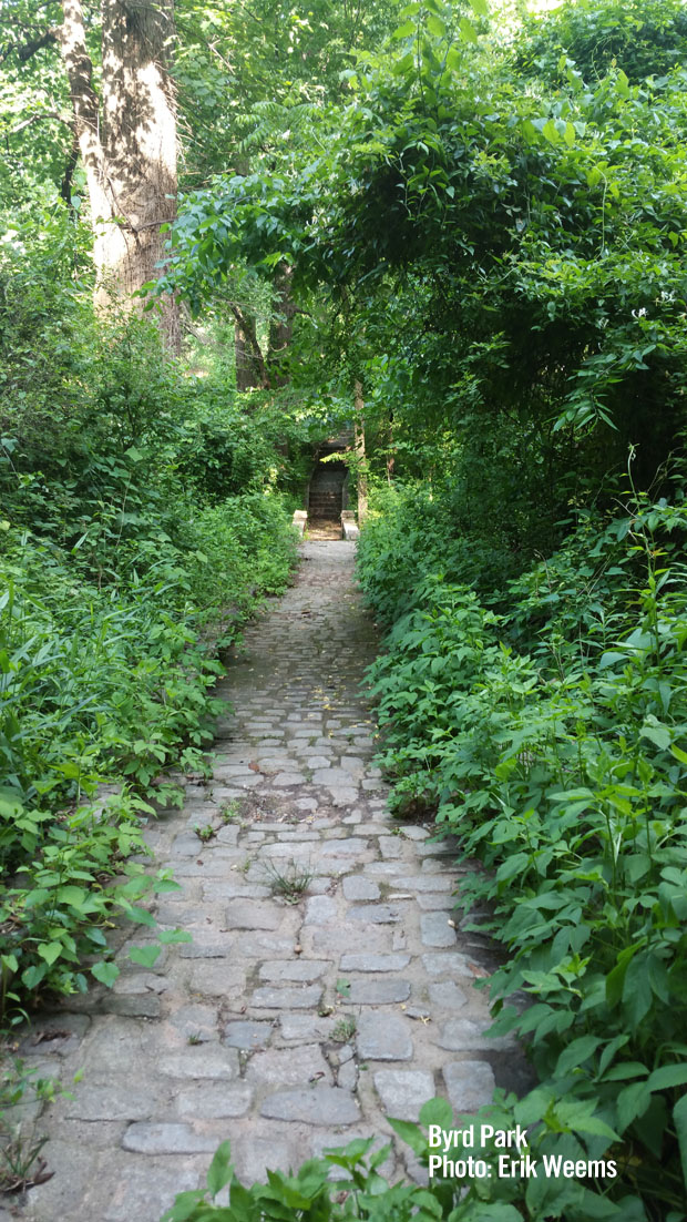 Stone walking path to bridge