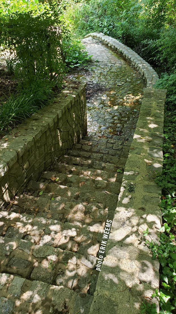 Stone steps at Byrd Park