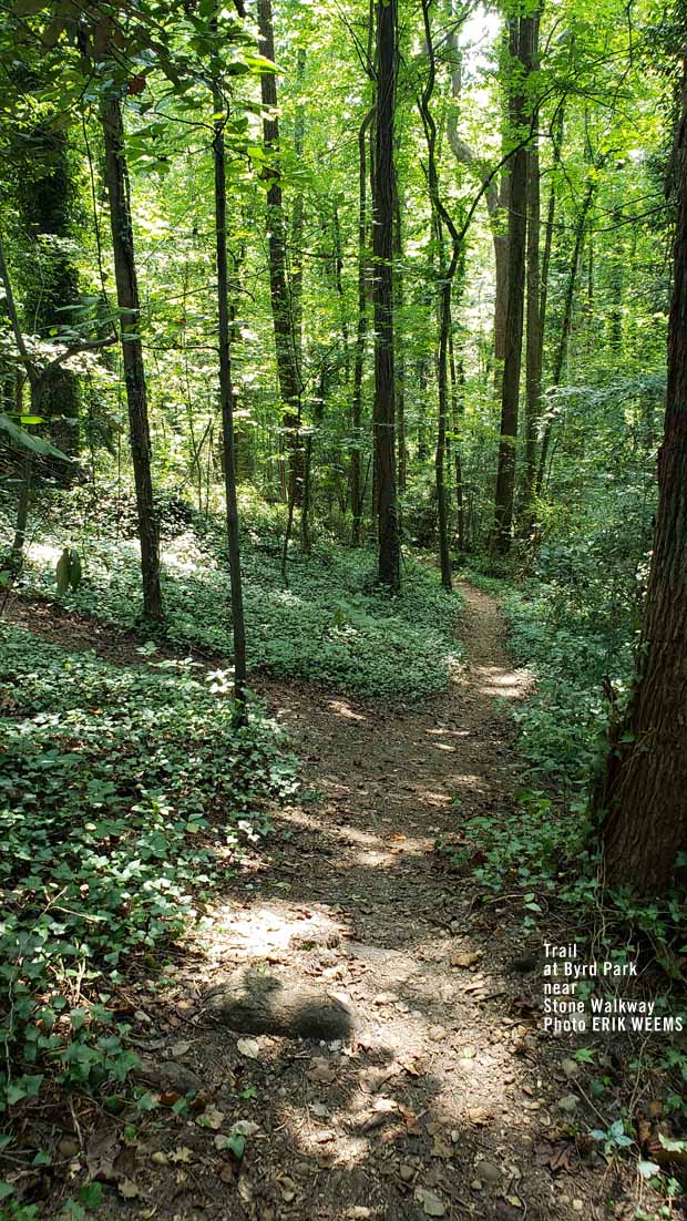 Trails along Byrd Park