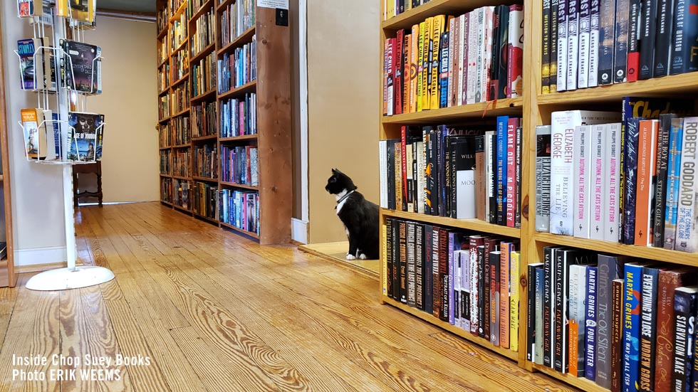 Cat in Chop Suey Books Richmond Carytown