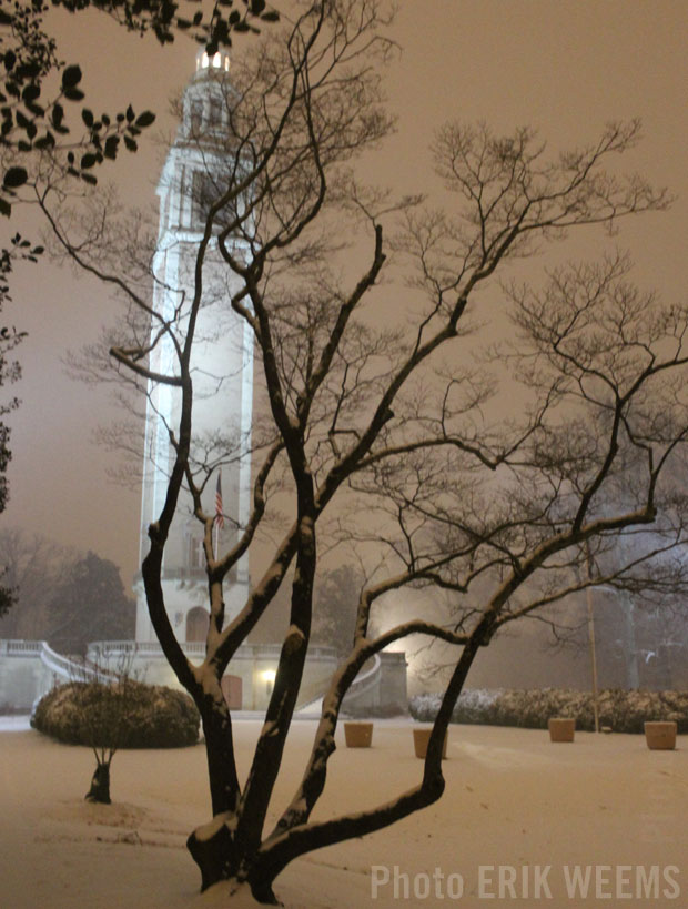 Snow Tree Carillon