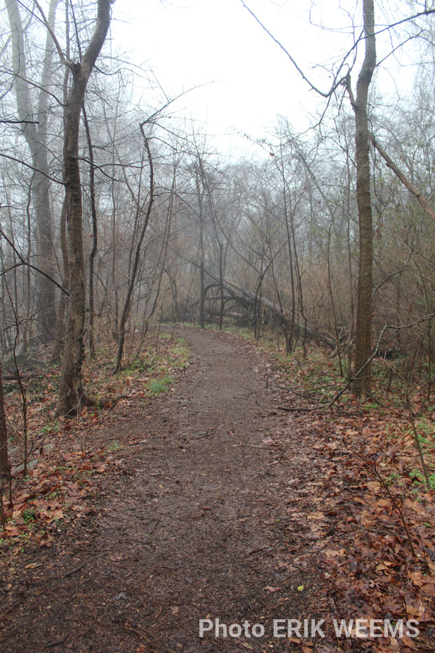 The wet trail along the James River