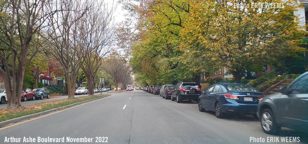 Autumn leaves on Arthur Ashe Boulevard in Richmond Virginia