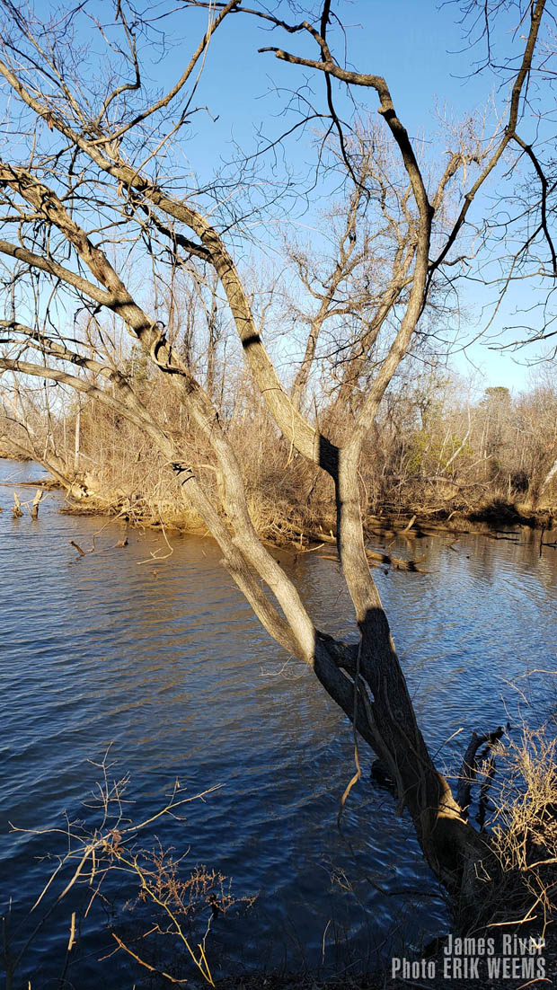 Along the James River in Winter